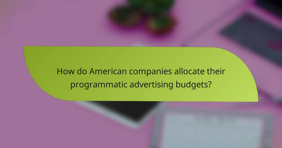 How do American companies allocate their programmatic advertising budgets?