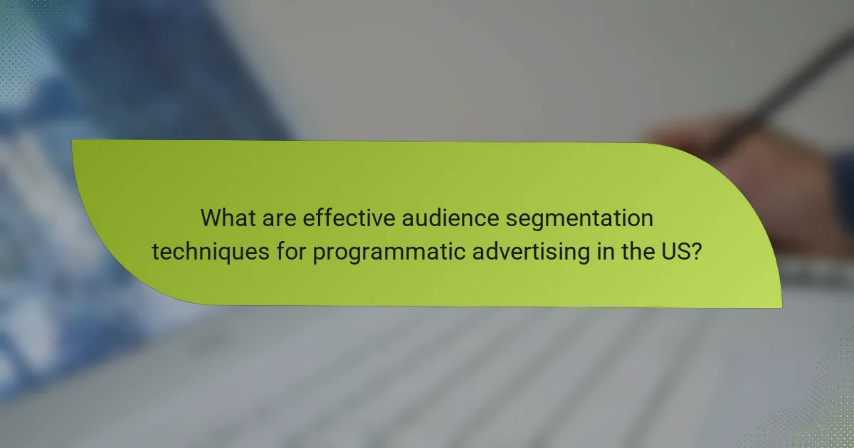 What are effective audience segmentation techniques for programmatic advertising in the US?