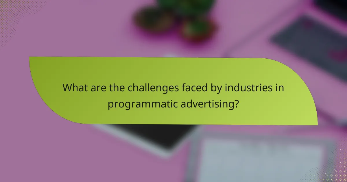What are the challenges faced by industries in programmatic advertising?