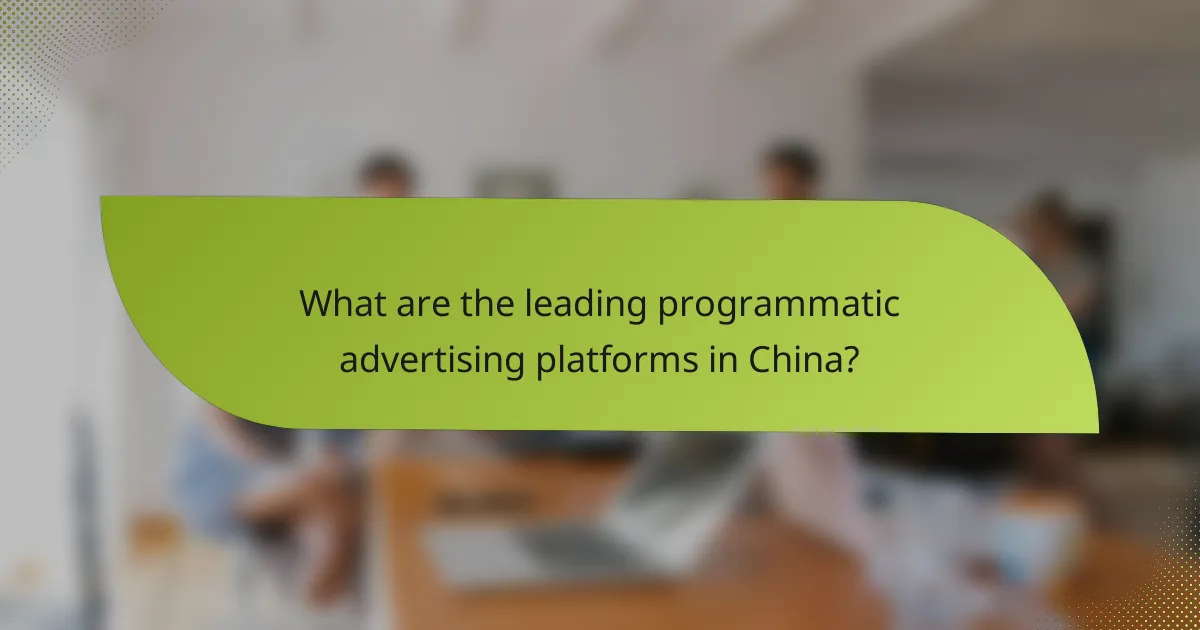 What are the leading programmatic advertising platforms in China?