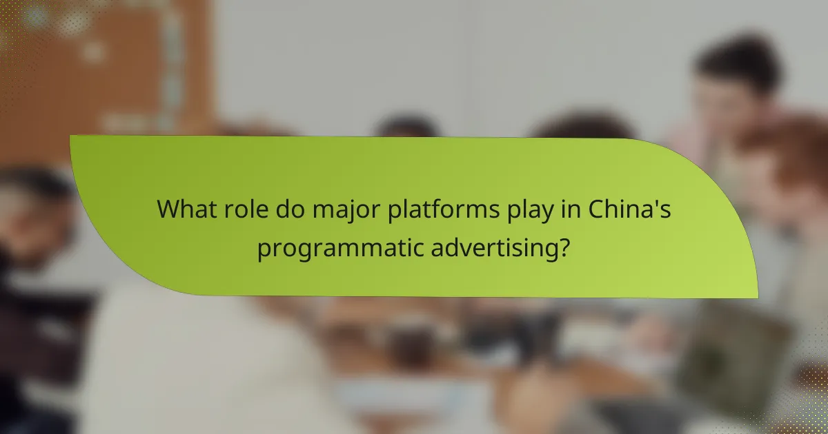 What role do major platforms play in China's programmatic advertising?