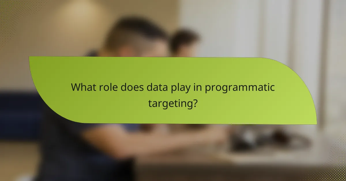 What role does data play in programmatic targeting?